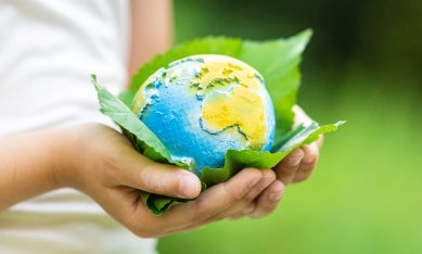 Sustainability